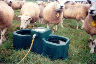 Weidetränke WT80